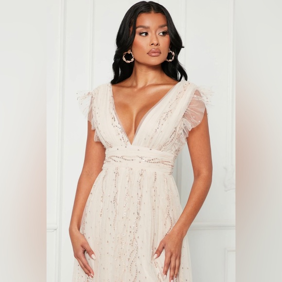 Fashion Nova - Charlotte Glitter Tulle Maxi Dress - Blush - Picture 3 of 11